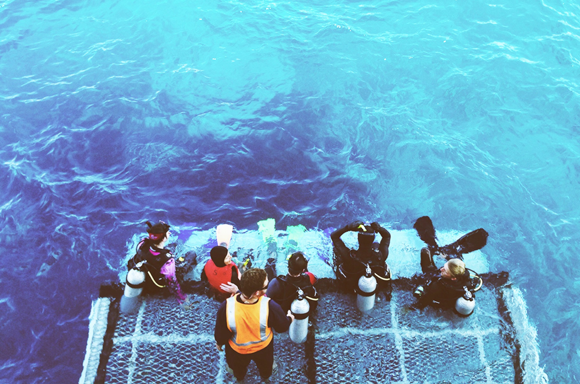 Coral Expeditions Coral Expeditions II Snorkelling.jpg